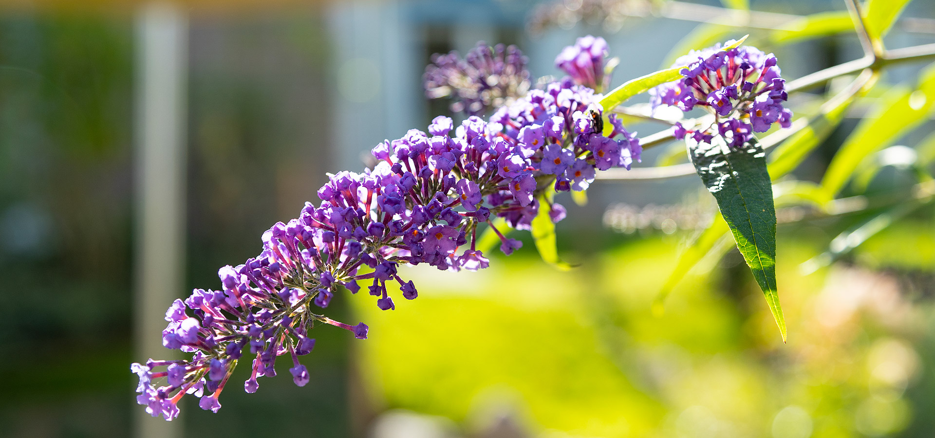 Gartenhof K�sters - Kinderhut Kindergarten in Neuss